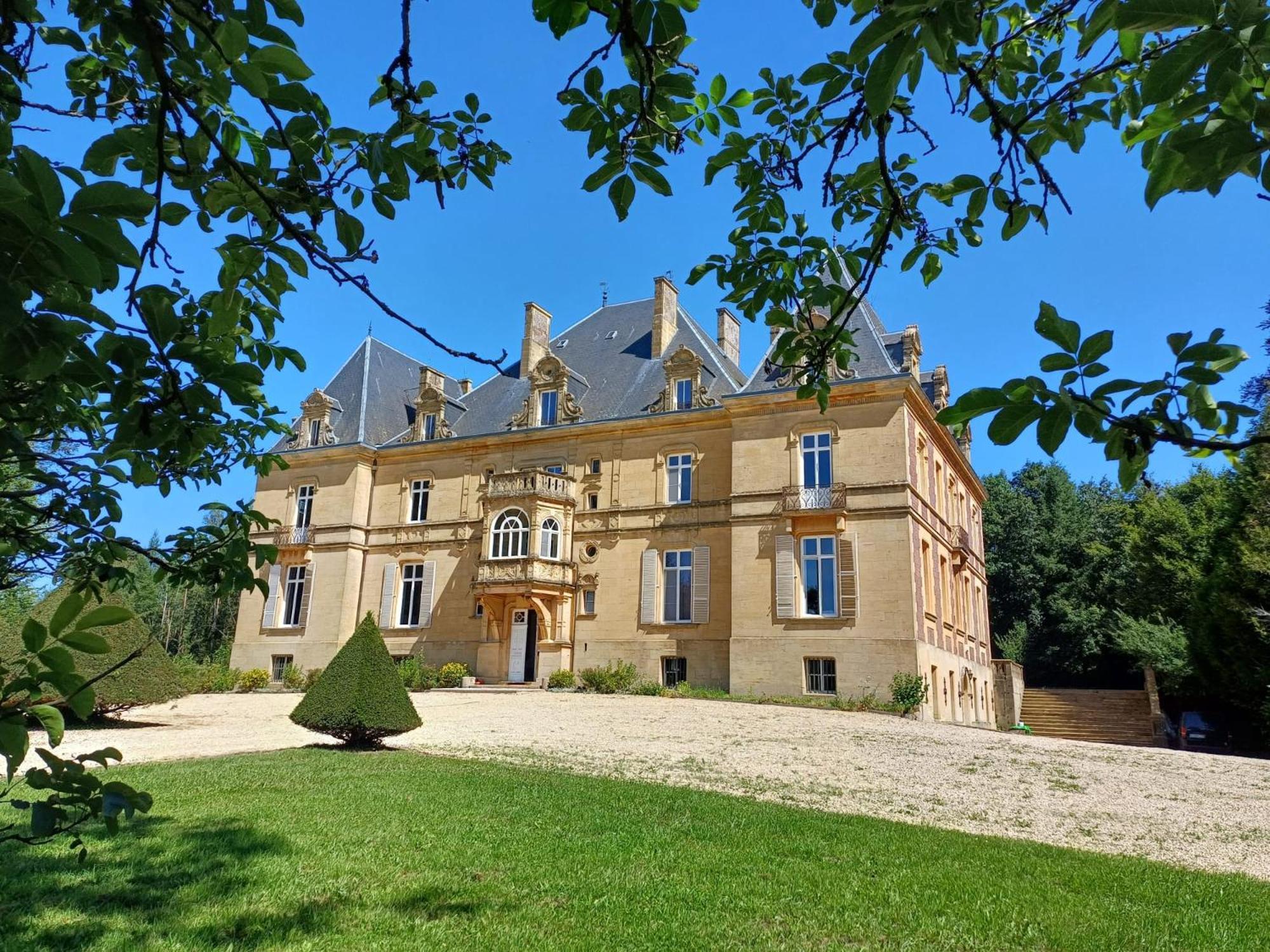 Chateau De Laclaireau ヴィルトン エクステリア 写真